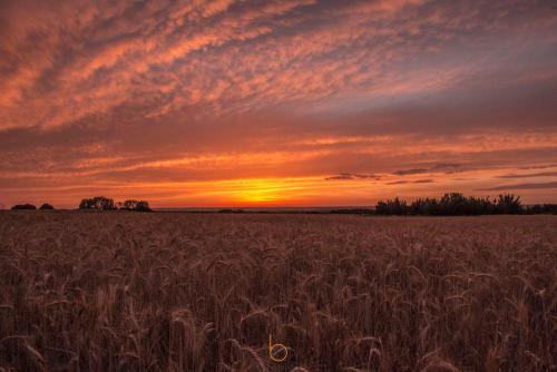 Atardecer captado por Borjatrivifoto
